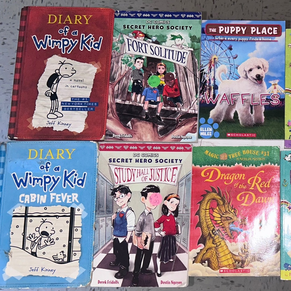 11 Chapter Books